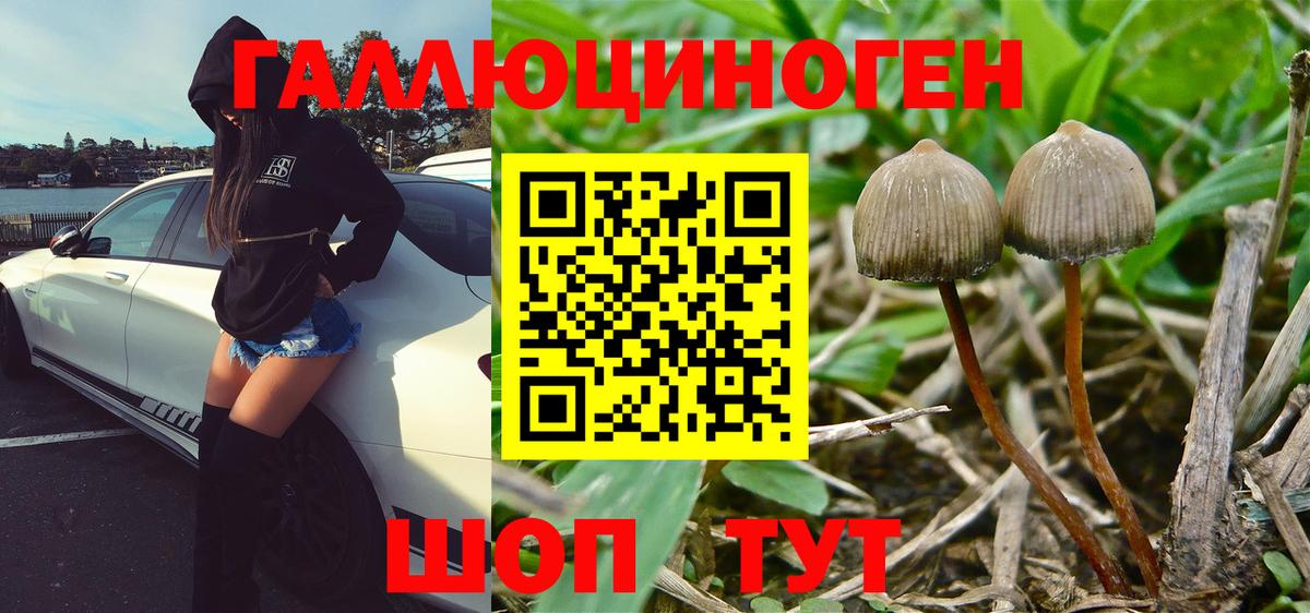 Псилоцибиновые грибы MAGIC MUSHROOMS Краснознаменск
