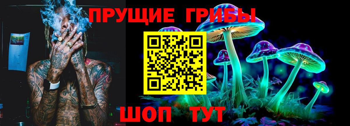 купить  цена  Вход с VPN  Краснознаменск  Псилоцибиновые грибы прущие грибы 